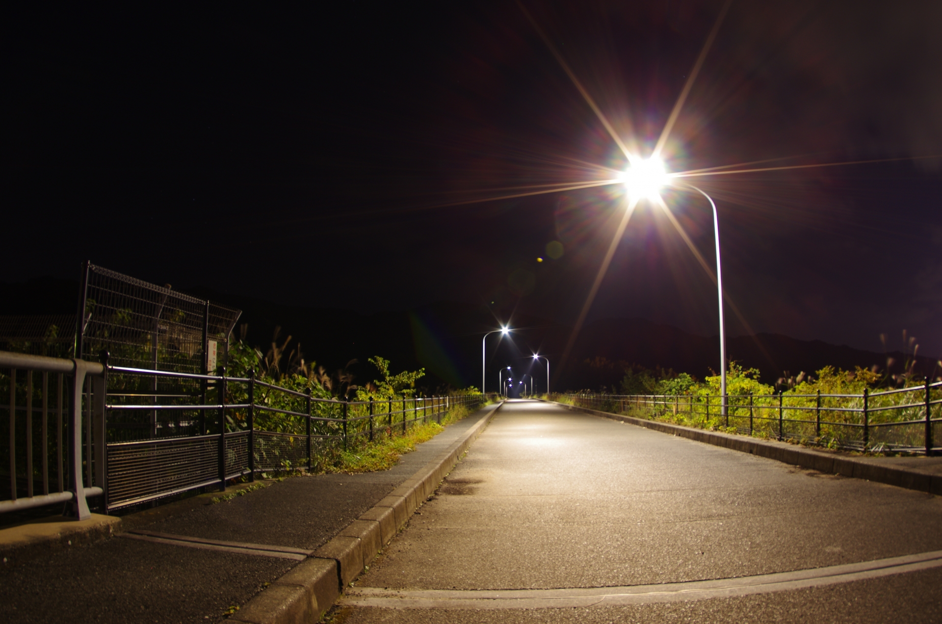 夜の歩道